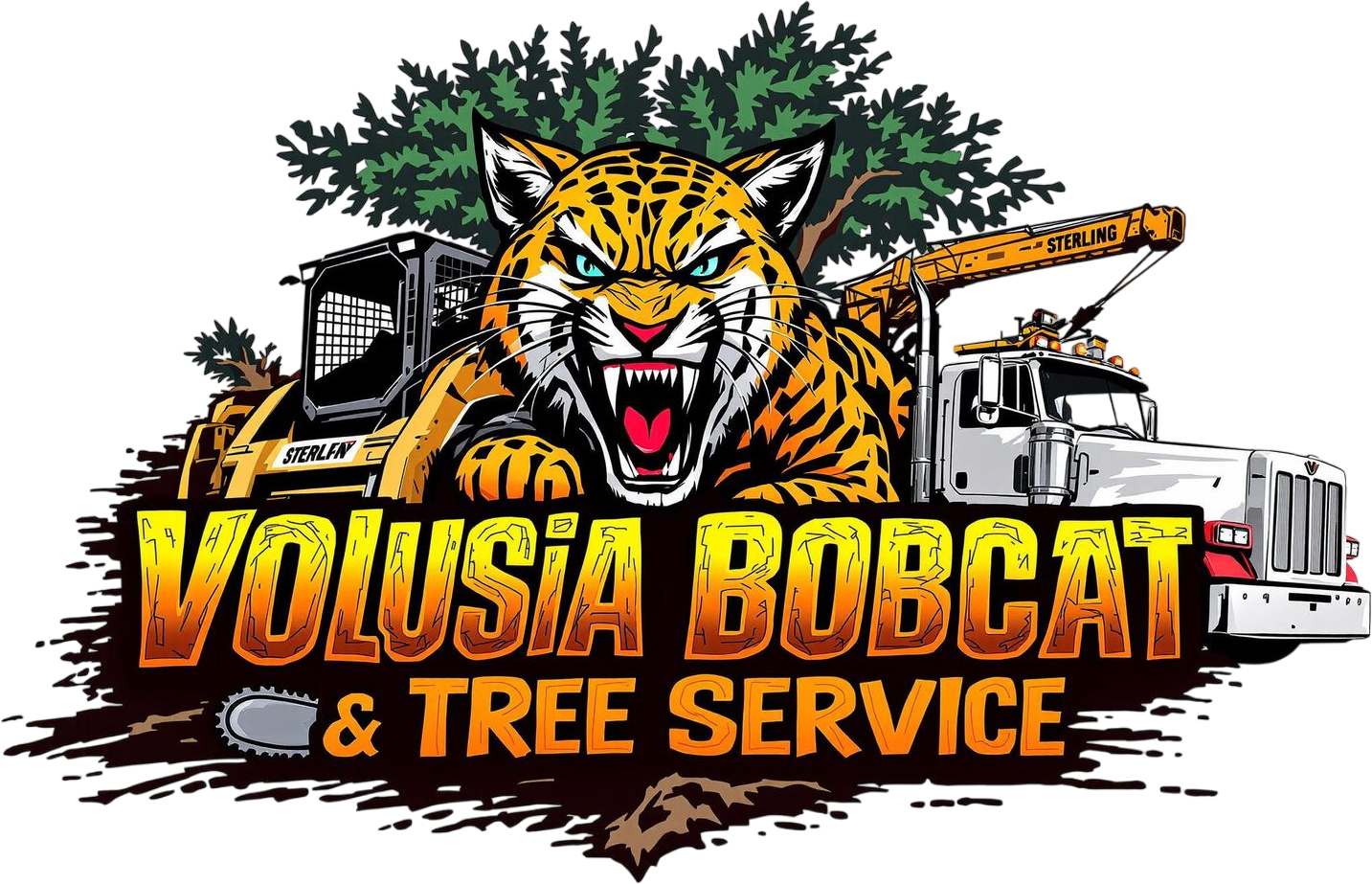 Professional Tree Service Longwood | Tree Service Near Me